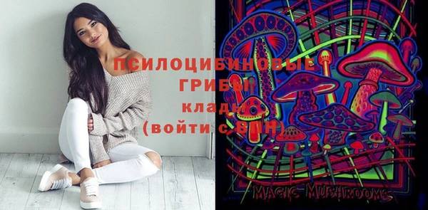 spice Покачи