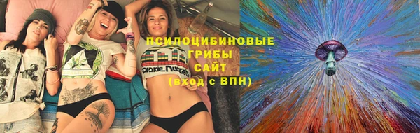 ПСИЛОЦИБИНОВЫЕ ГРИБЫ Покровск