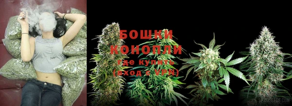 ПСИЛОЦИБИНОВЫЕ ГРИБЫ Киров