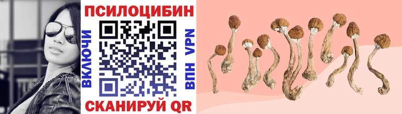Галлюциногенные грибы ЛСД  Белёв 